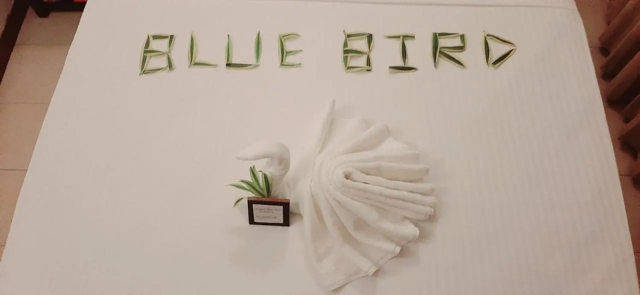 Bed & Breakfast Hotel Blue Bird Negombo